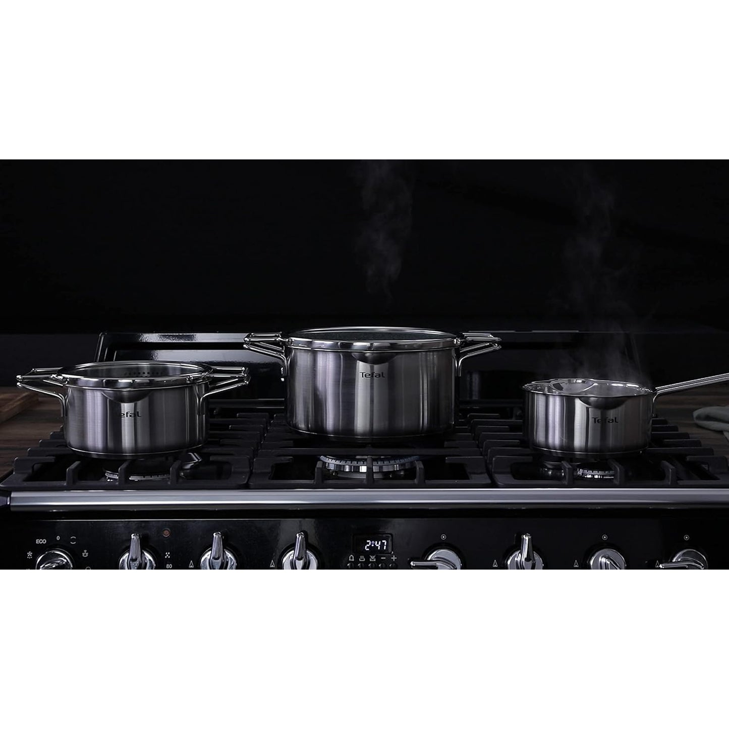 TEFAL NORDICA Stainless steel Induction Stew Pot (24cm, 4.8L) + lid