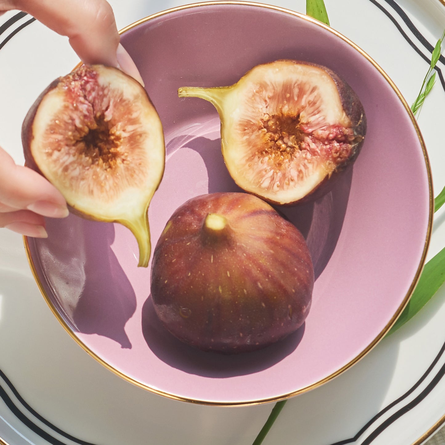Elina Ceramic Dish Dinnerware No PFOA Pink