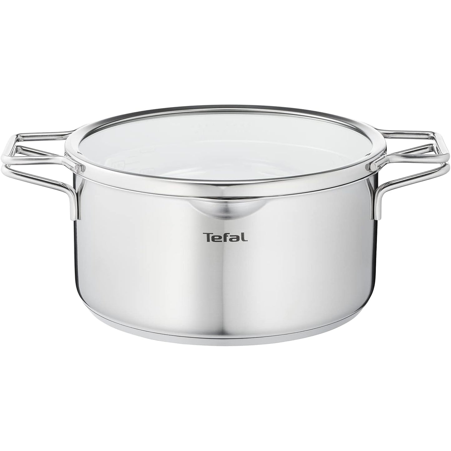 TEFAL NORDICA Stainless steel Induction Stew Pot (24cm, 4.8L) + lid