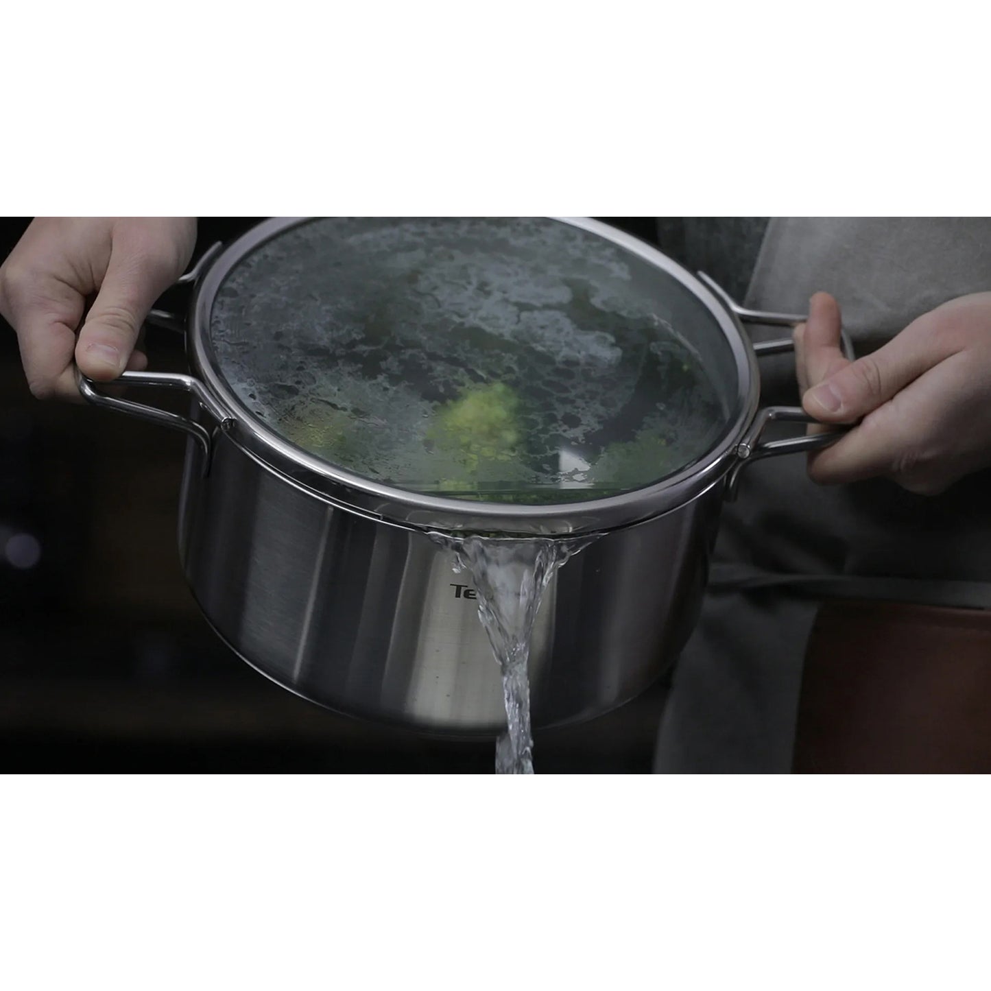 TEFAL NORDICA Stainless steel Induction Stew Pot (24cm, 4.8L) + lid