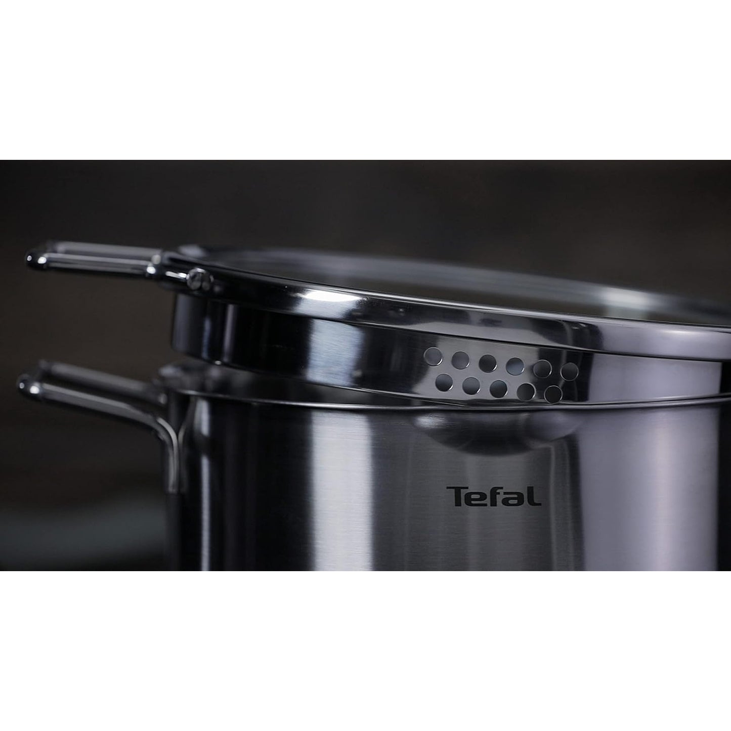 TEFAL NORDICA Stainless steel Induction Stew Pot (24cm, 4.8L) + lid