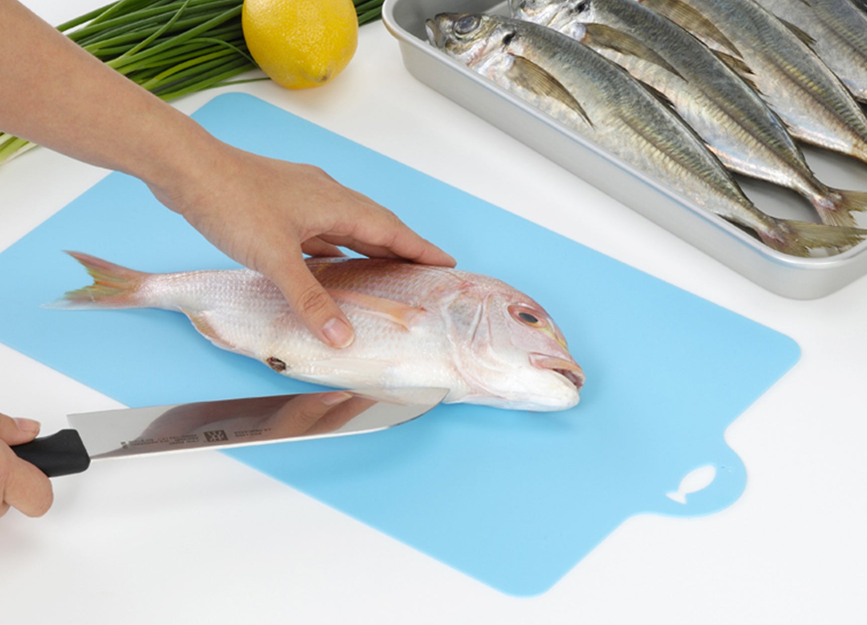 Flexible Sheet Cutting Board for Fish Blue adamhnk