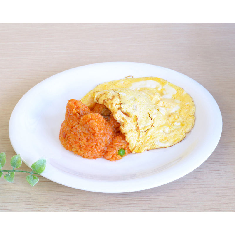 Cat-Shaped Rice Mold Maker Omelet/Curry/Rice Ball/Fried Rice Decoration Kitchen Tool White - 코쿠보 고양이 밥틀 kk-552 - adamhnk