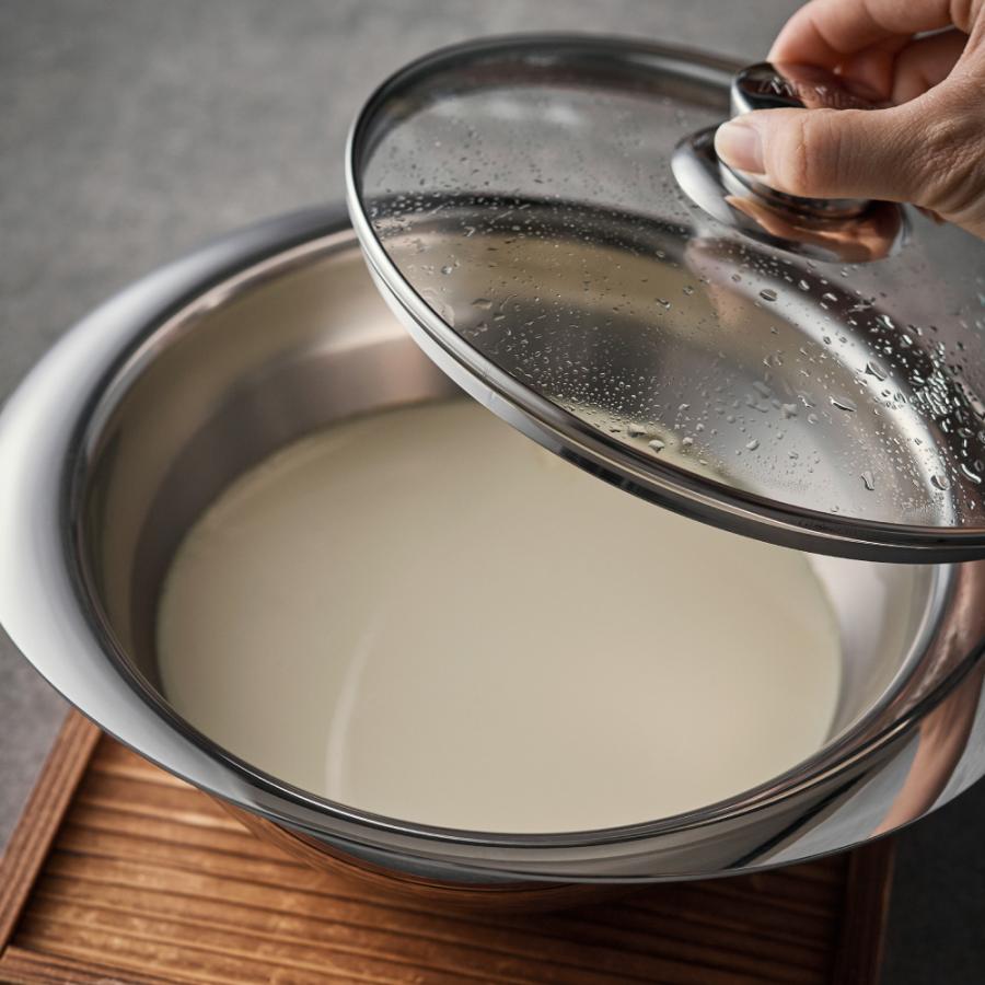 Meyer Stainless Steel 3-Layer Induction Mixing Bowl Pan (24cm) + Glass Lid No PFOA Silver - Adamhnk