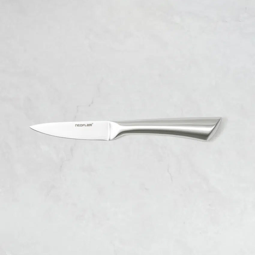 Neoflam All-Stainless Steel Easy Grip Paring Knife Small (21cm) Silver