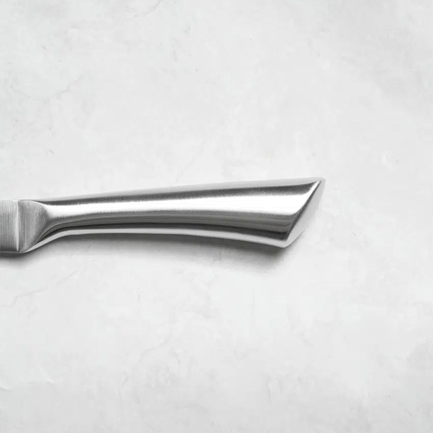 Neoflam All-Stainless Steel Easy Grip Paring Knife Small (21cm) Silver