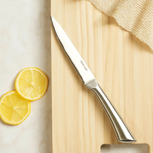 Neoflam All-Stainless Steel Easy Grip Paring Knife Large (25cm) Silver