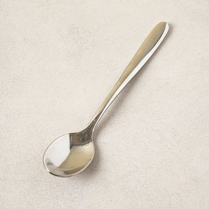 Premium 304 All-Stainless Steel Tea Spoon (14cm) Silver