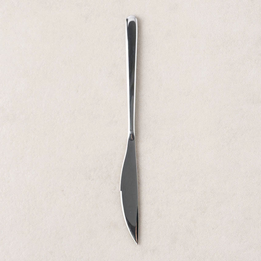 Simple All-Stainless Steel Steak Knife (21cm) Easy Grip Silver