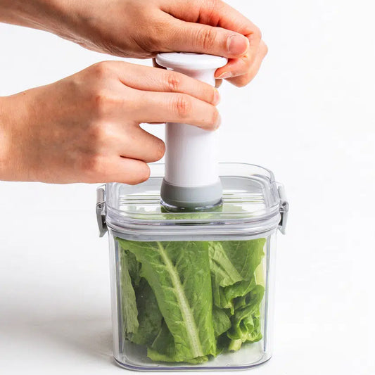 Vacuum Compressor for Food Storage Container