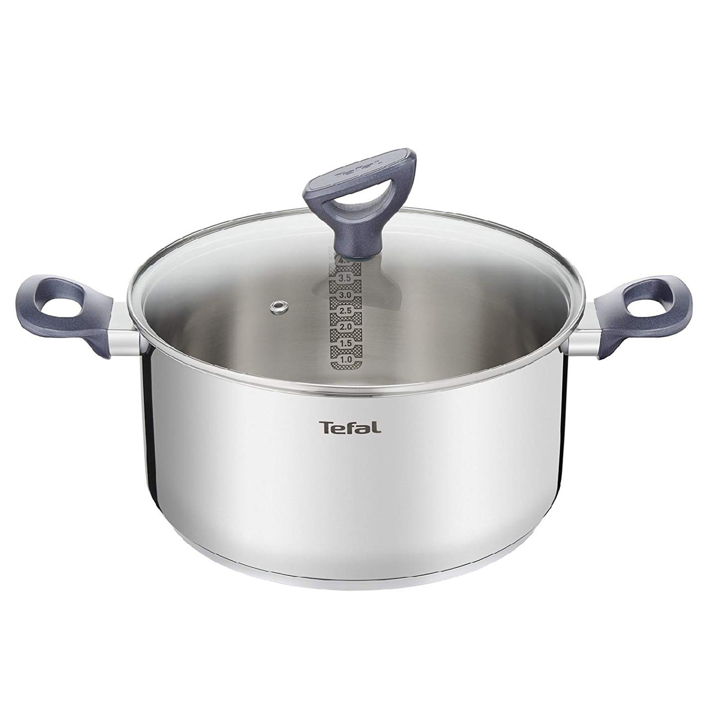 Tefal Daily Cook Stainless Steel Induction Stewpot (20cm, 3.0L) Dishwasher Oven Safe No PFOA Silver