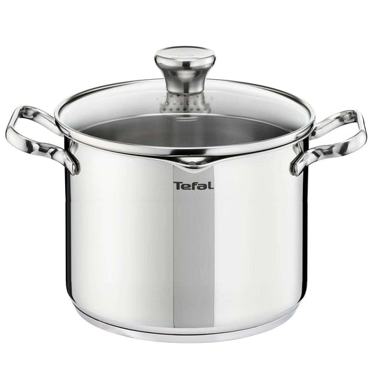 Tefal Duetto Stainless Steel Induction Stockpot (22cm, 5.9L) Dishwasher Oven Safe No PFOA Silver