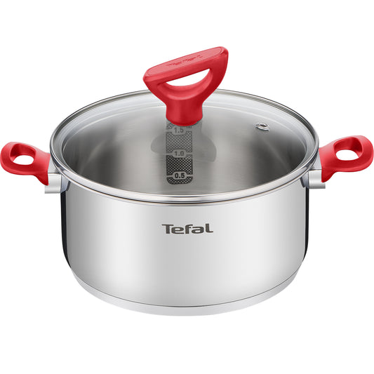 Tefal Edition Red Stainless Steel Induction Stewpot (24cm, 5.0L) Dishwasher Oven Safe No PFOA Silver